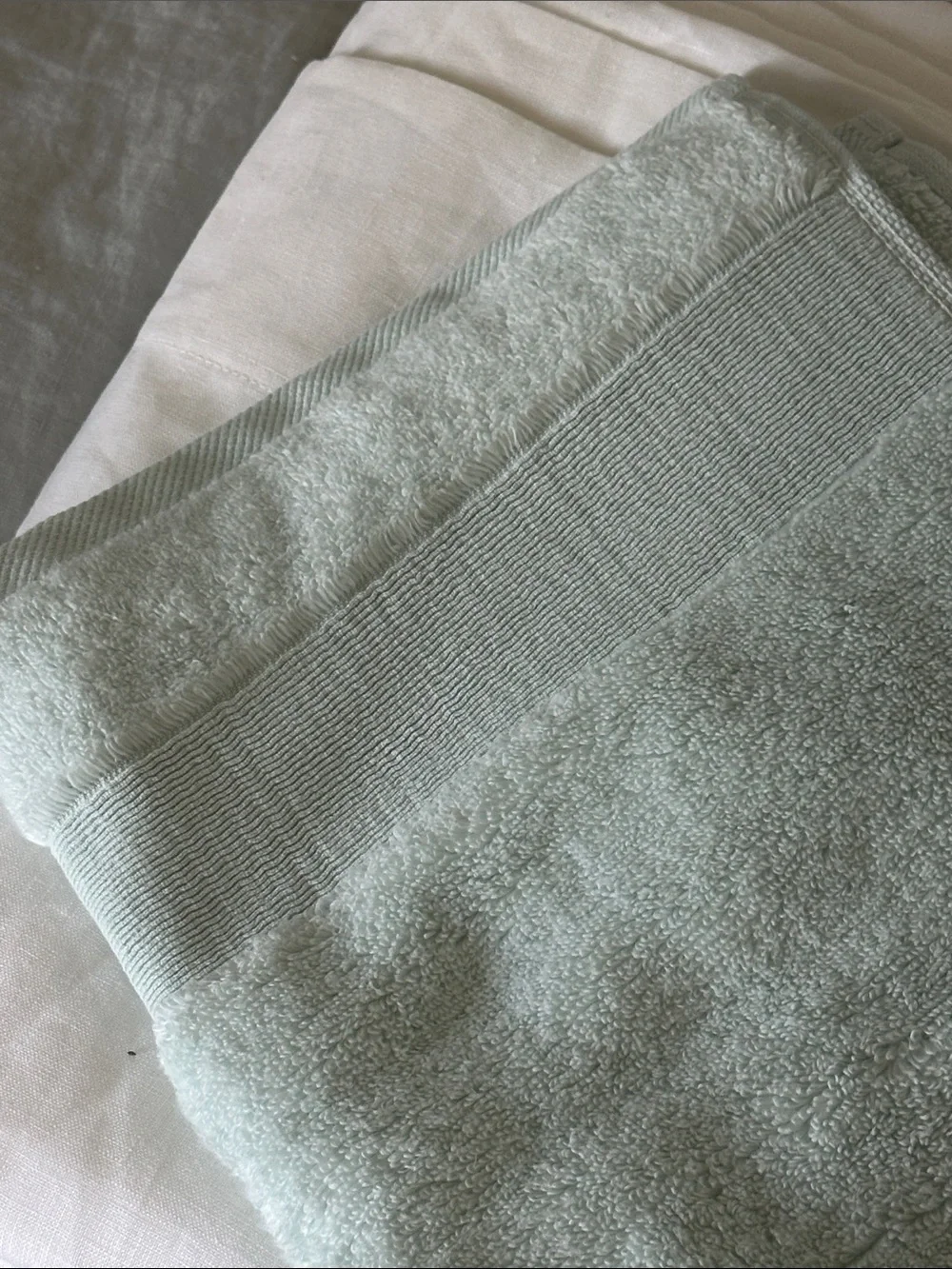 Quince Light Mint Hand Towels - Soft Plush Set